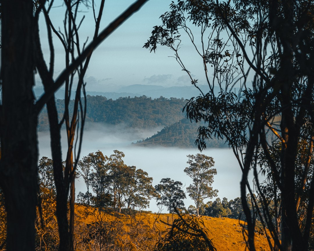 View of a valley in the Paterson area, Dungog Shire